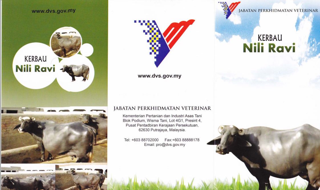 baka lembu